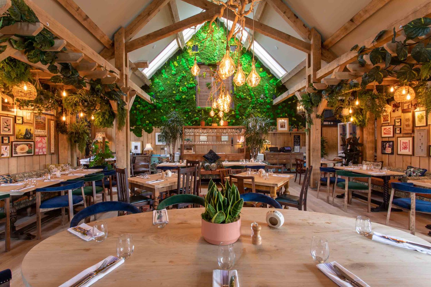 The Frog Best Coffee Bar in Deepcut